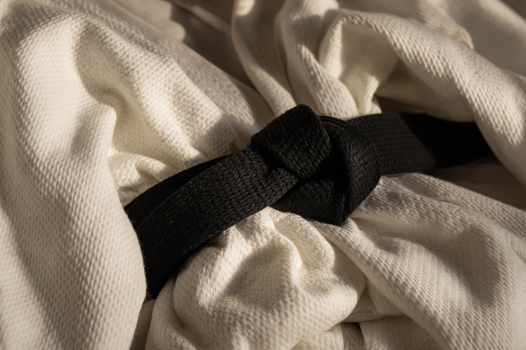 BJJ Paris
